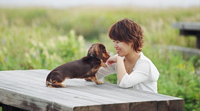 ペットロス体験／愛犬を失った悲しみ・後悔・罪悪感の先に見える世界