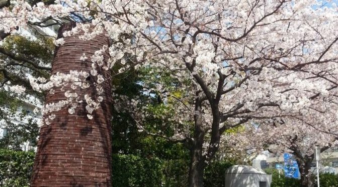 ペットロスTwitterメッセージ「春・桜に無性に寂しさを感じるけれど···」