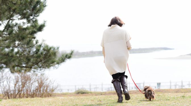 ペットロスは人生の終わりではなく、亡きペットと歩む道はどこまでも続いている