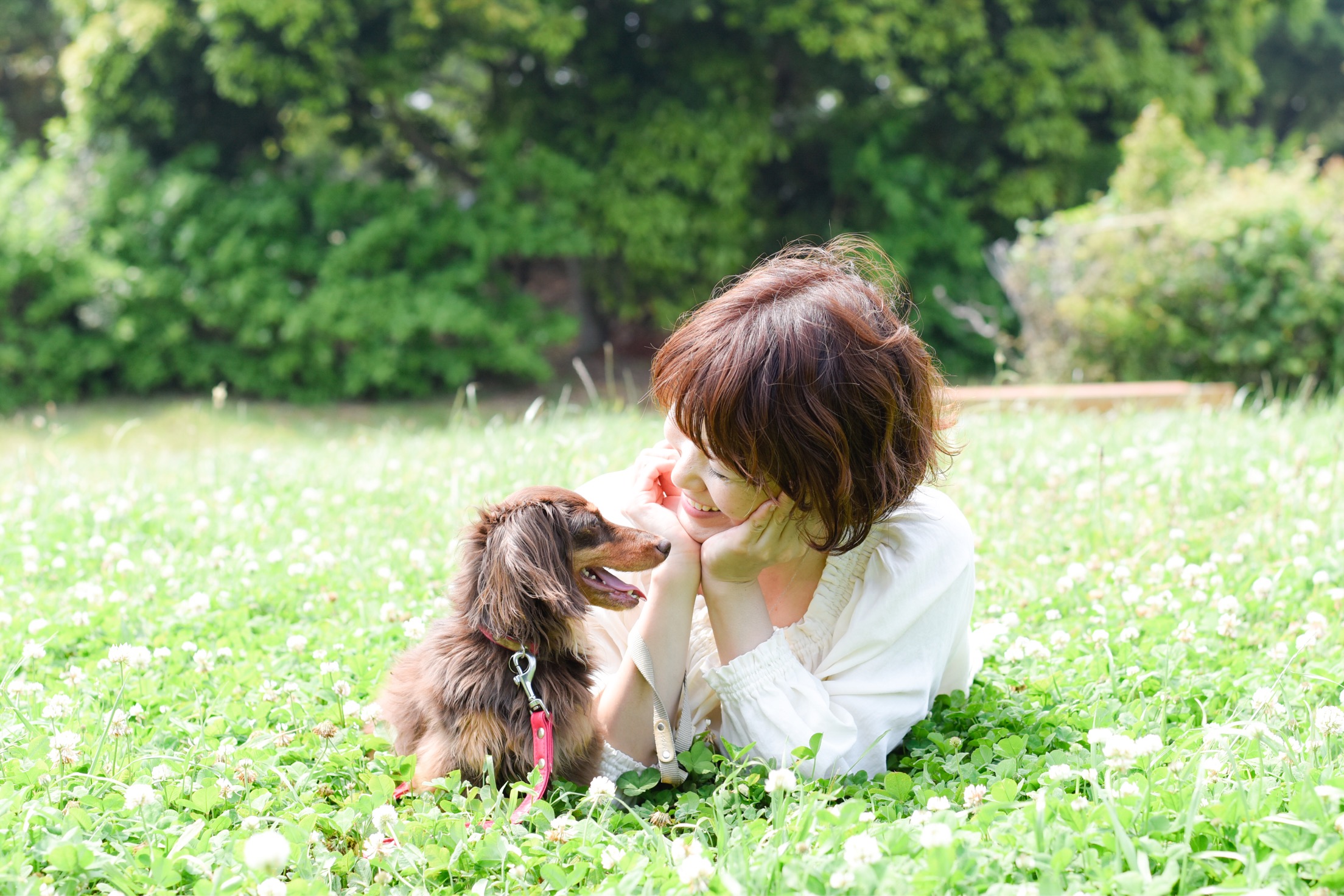 ペットロス予防 重たいペットロスにならない為 ペットが元気な時からできること シェール アンジュ ペットロス カウンセリング