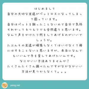 ペットロス質問箱 ペットロスの友人にかけてあげる言葉 言ってはいけない言葉 シェール アンジュ ペットロス カウンセリング