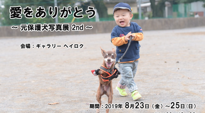 とってもオススメ！河村昌美さんの元保護犬写真展開催されます。