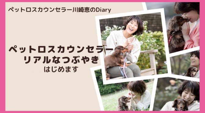 YouTube動画「ペットロスカウンセラー川崎恵のDiary」をはじめます